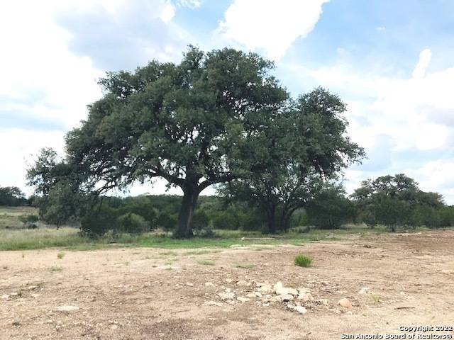 Pipe Creek, TX 78063,PARCEL 4 Rio Lantana