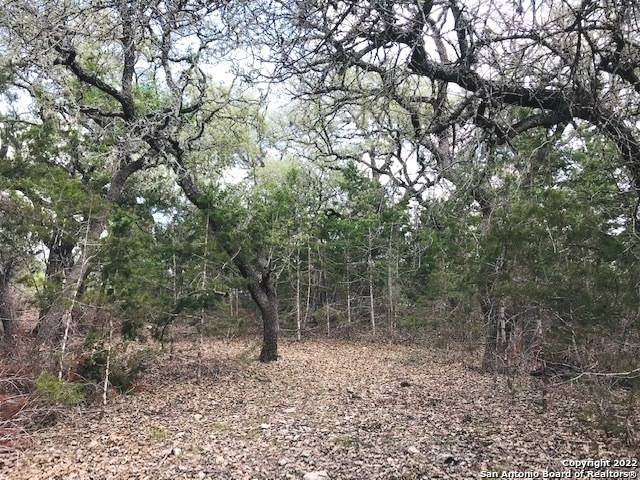 Pipe Creek, TX 78063,PARCEL 4 Rio Lantana