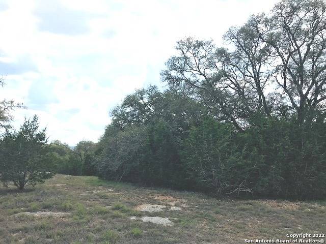 Pipe Creek, TX 78063,PARCEL 4 Rio Lantana