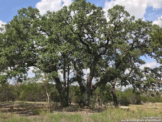 Pipe Creek, TX 78063,PARCEL 5 Rio Lantana