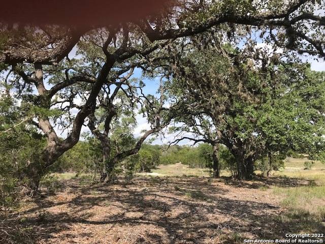 Pipe Creek, TX 78063,PARCEL 5 Rio Lantana