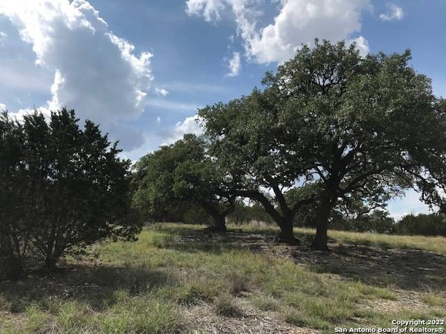 Pipe Creek, TX 78063,PARCEL 5 Rio Lantana