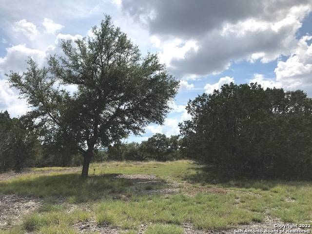 Pipe Creek, TX 78063,PARCEL 17 Rio Lantana