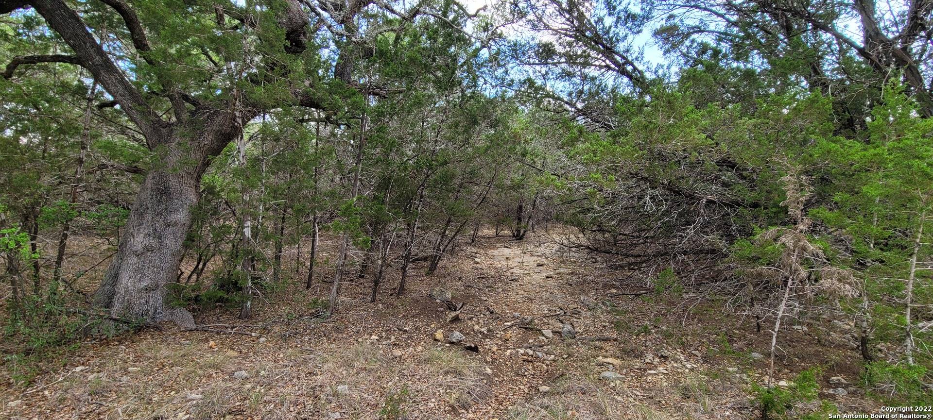 Bandera, TX 78003,LOT 23 CANYON DRIVE