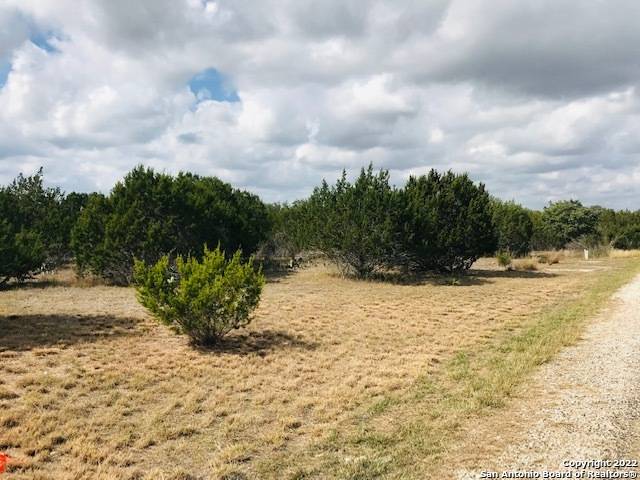Bandera, TX 78003,0 Saddle Tree