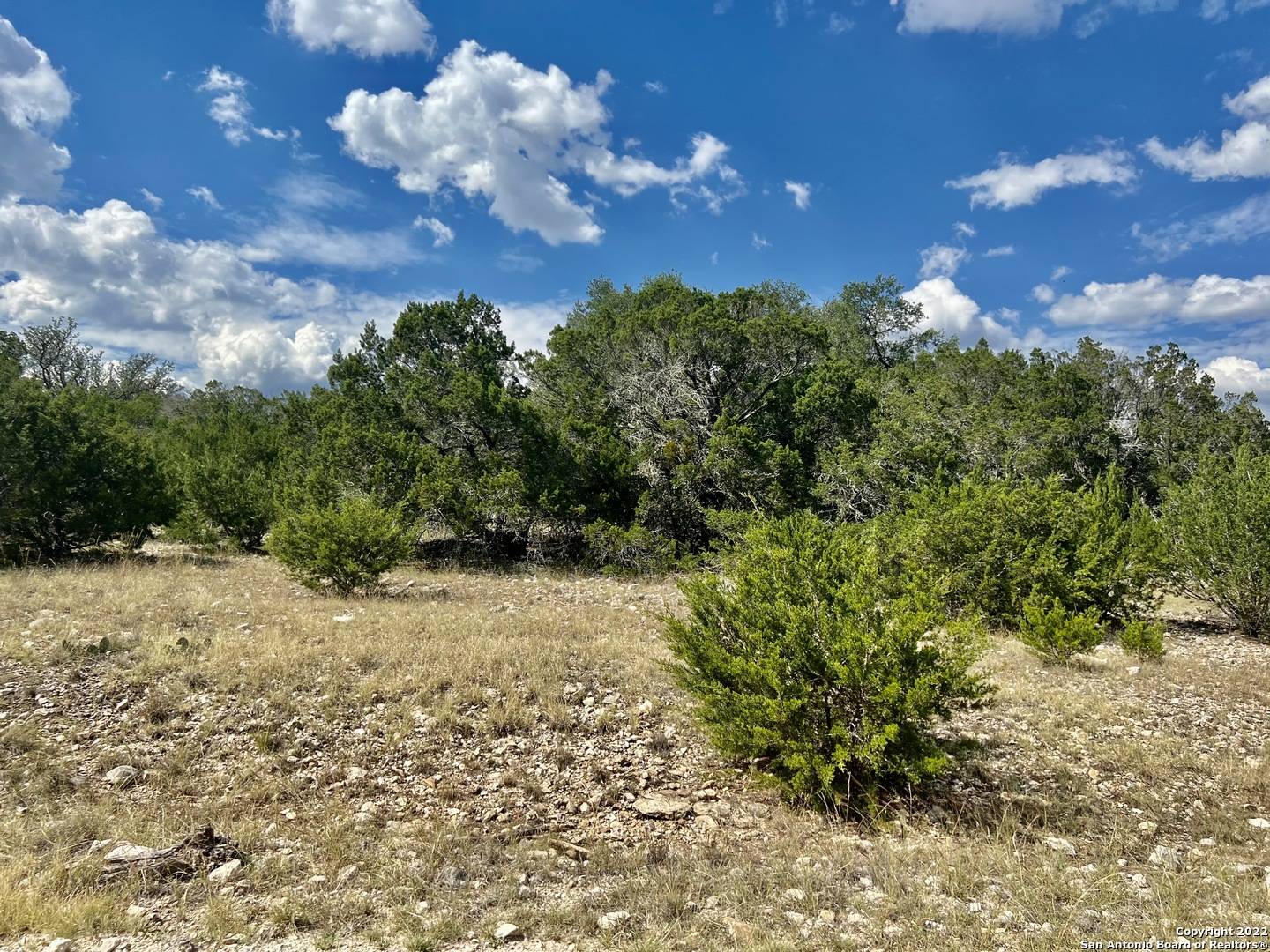 Rocksprings, TX 78880,80 acres in Rocksprings