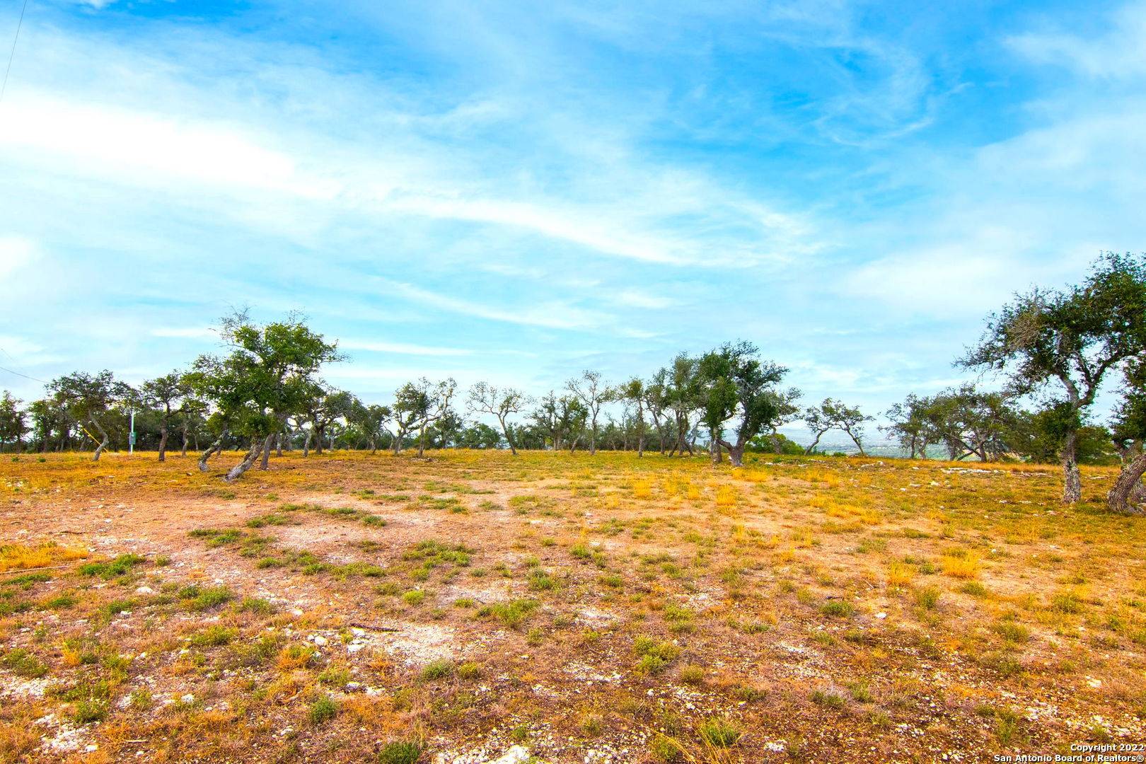 Blanco, TX 78606,LOT 29 Red Oak Mountain