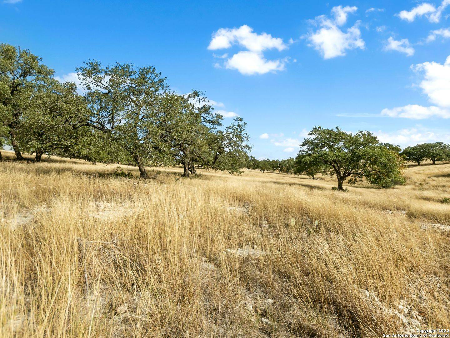 Kerrville, TX 78028,LOT 103 Cattlemans Crossing Drive