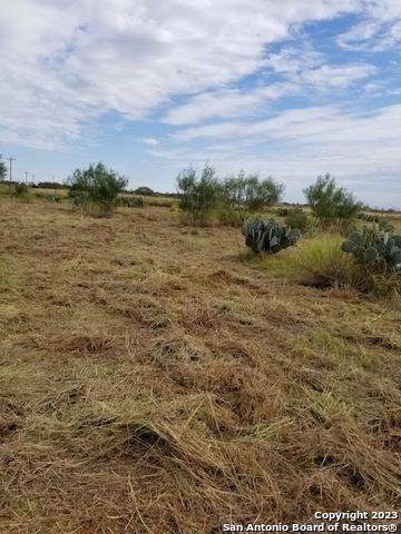 Dilley, TX 78017,0 HWY-85