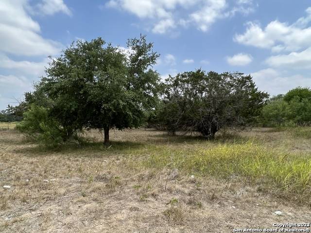 Bandera, TX 78003,131 REMINGTON CT