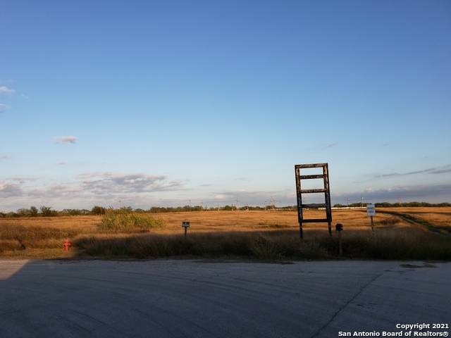Kenedy, TX 78119,0024 Park Place