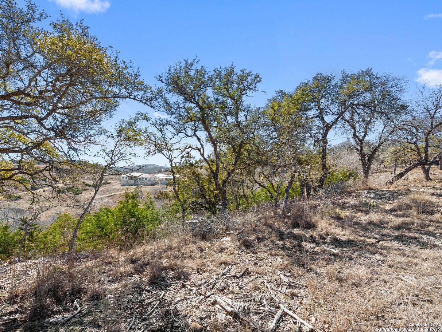 Blanco, TX 78606,LOT 116 Majestic Hills