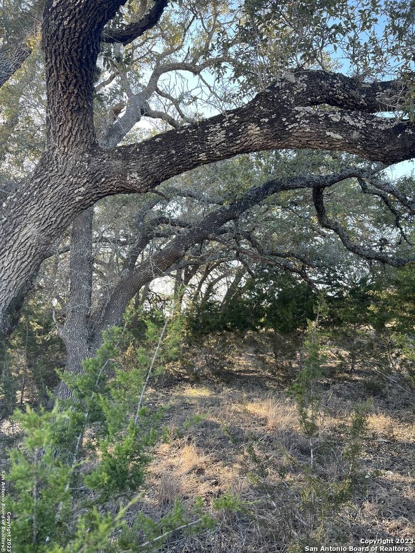 Bandera, TX 78003,219 Highgate Dr