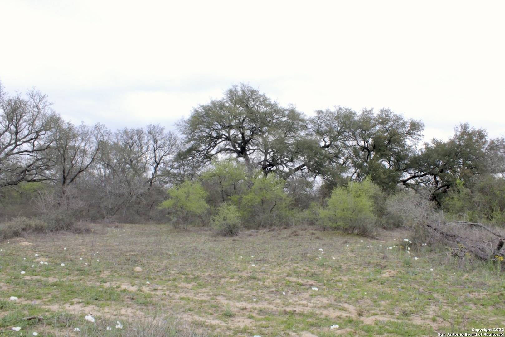 Natalia, TX 78059,2725 County Road 770
