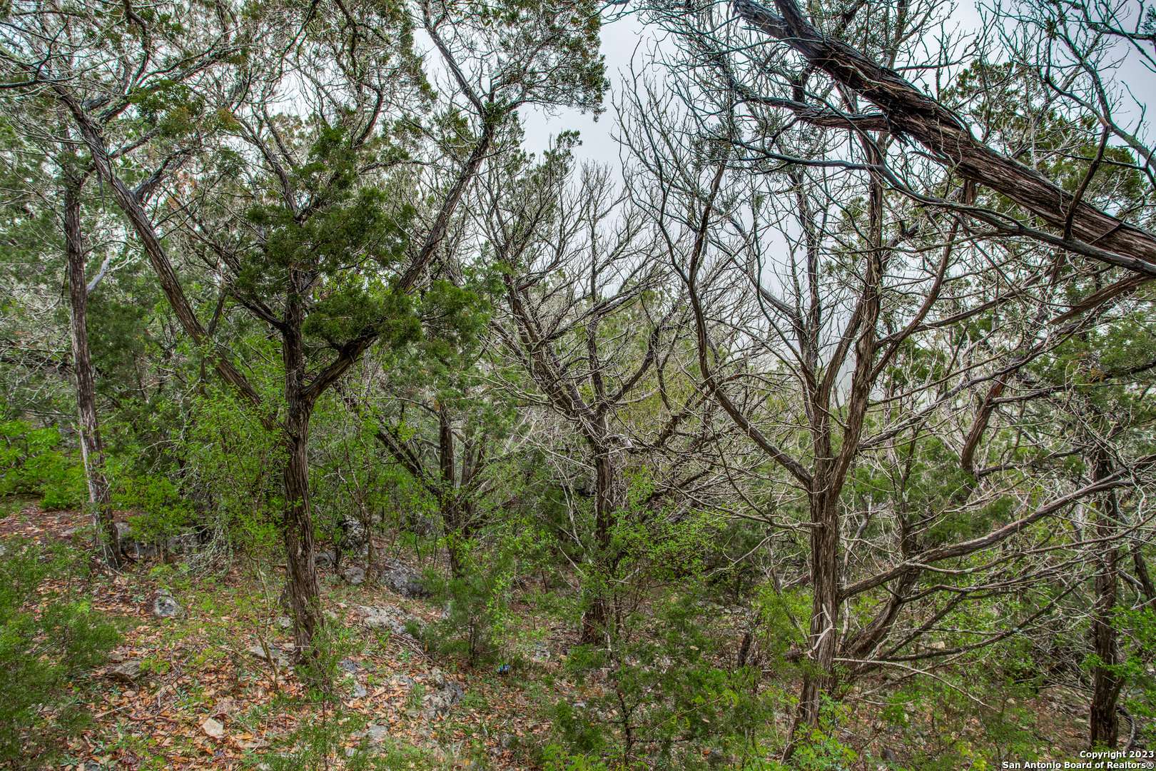 Mico, TX 78056,229 PR 1720