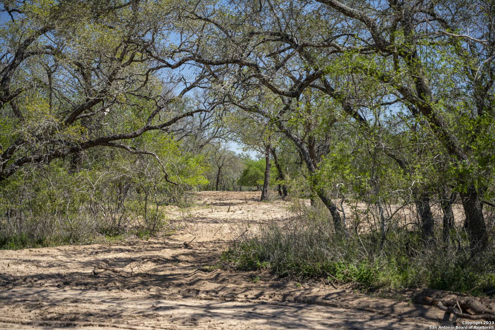 Natalia, TX 78059,2699 County Road 770