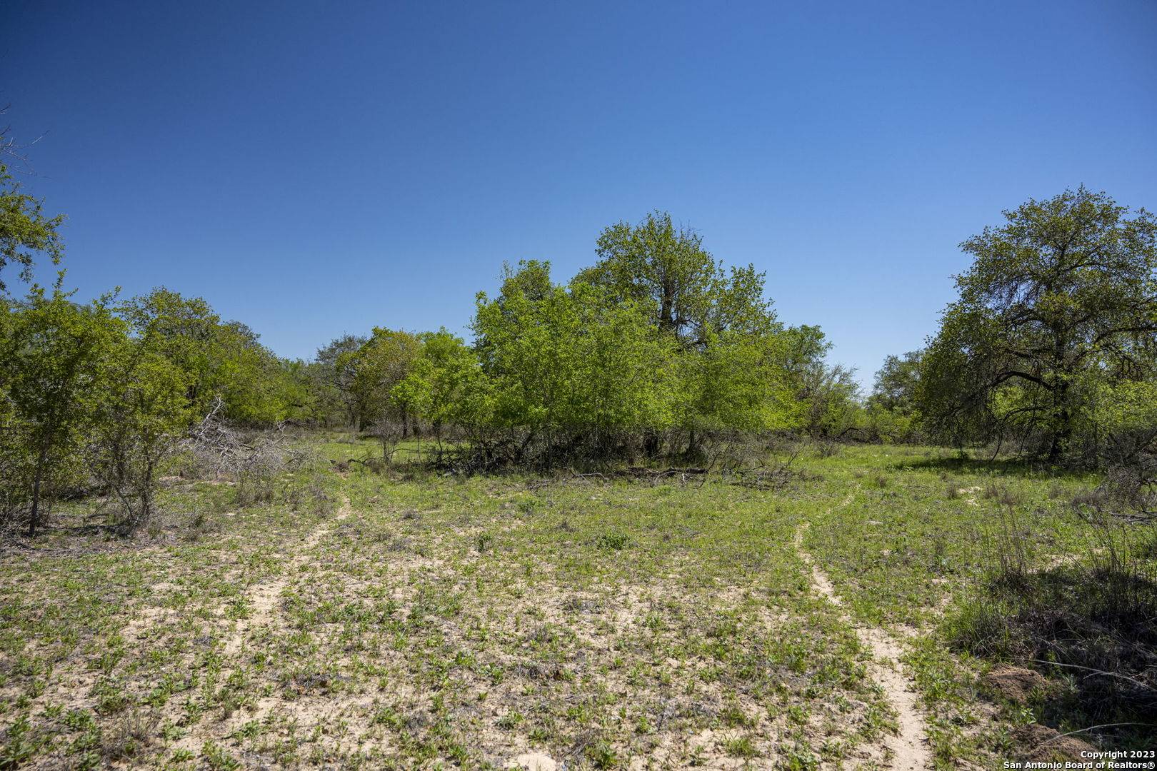 Natalia, TX 78059,2707 County Road 770