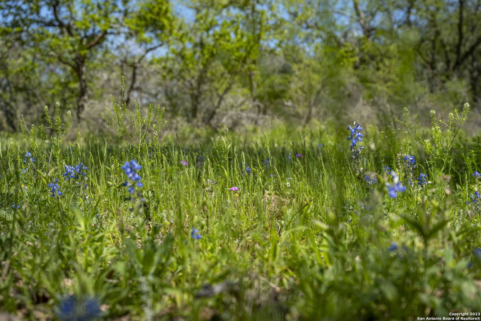 Natalia, TX 78059,2707 County Road 770