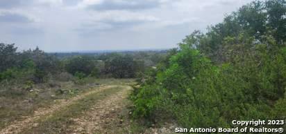 Hondo, TX 78861,000 CR 243