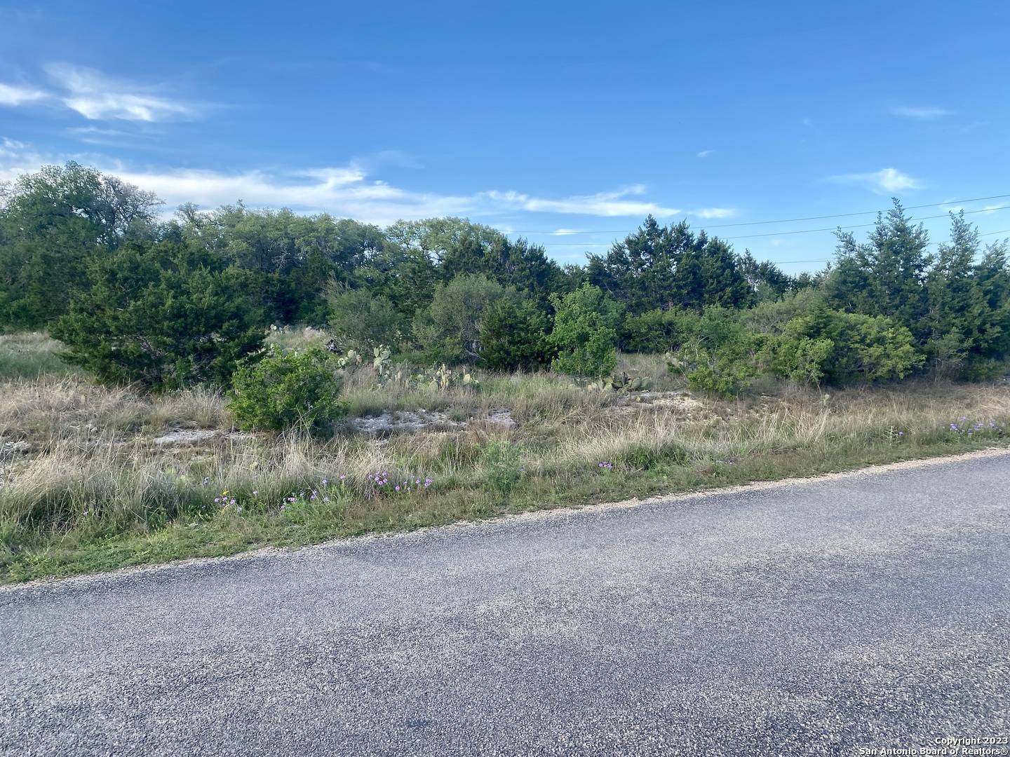 Spring Branch, TX 78070,LOT 4 Rayner Ranch