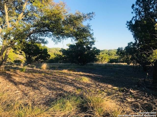 Pipe Creek, TX 78063,PARCEL 12 Rio Lantana
