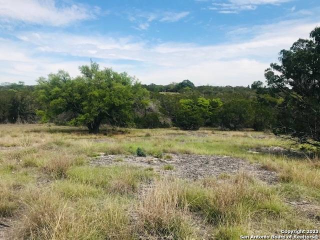 Pipe Creek, TX 78063,PARCEL 12 Rio Lantana