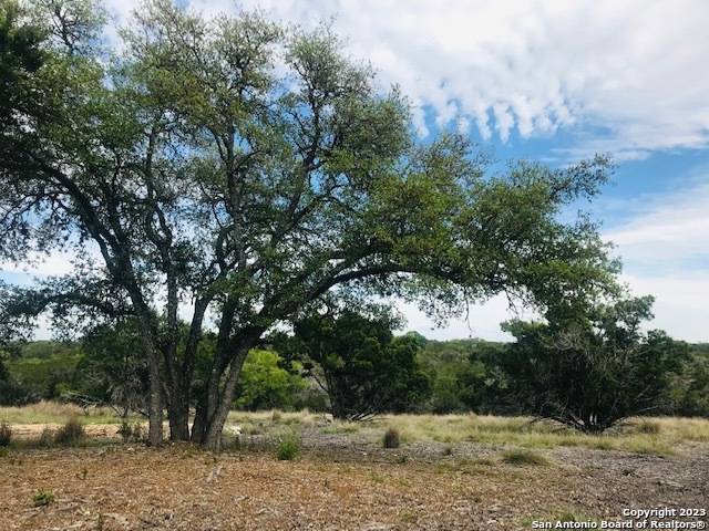 Pipe Creek, TX 78063,PARCEL 12 Rio Lantana