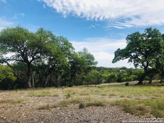 Pipe Creek, TX 78063,PARCEL 13 Rio Lantana