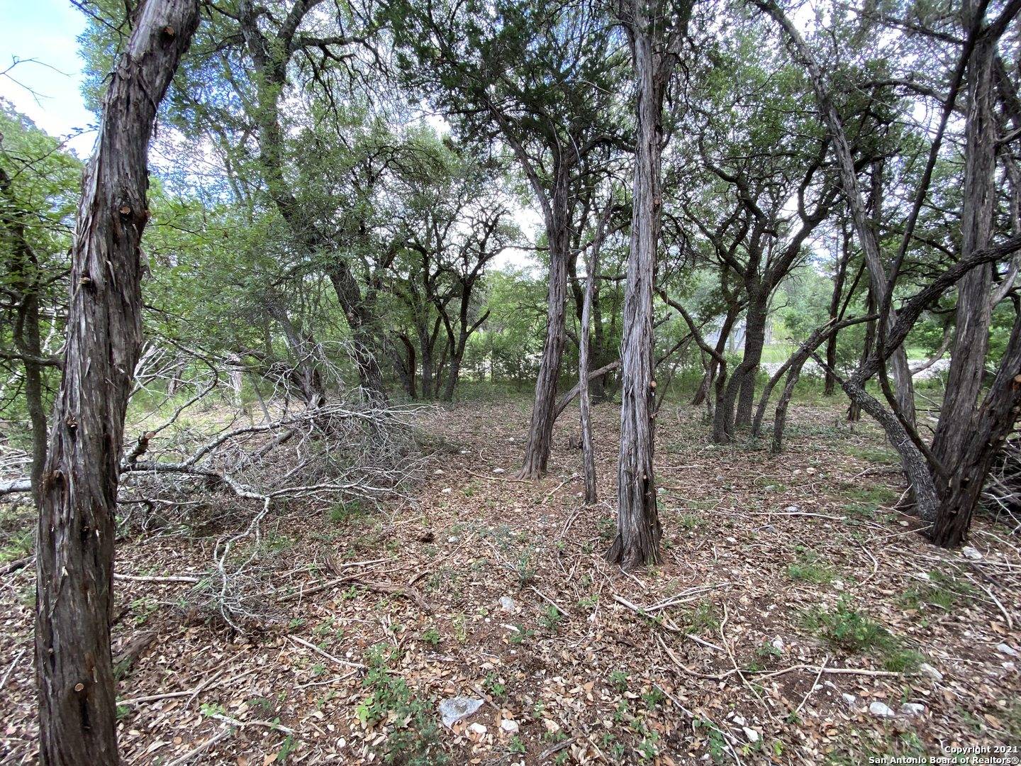 Mico, TX 78056,LOT 332 PR 1742