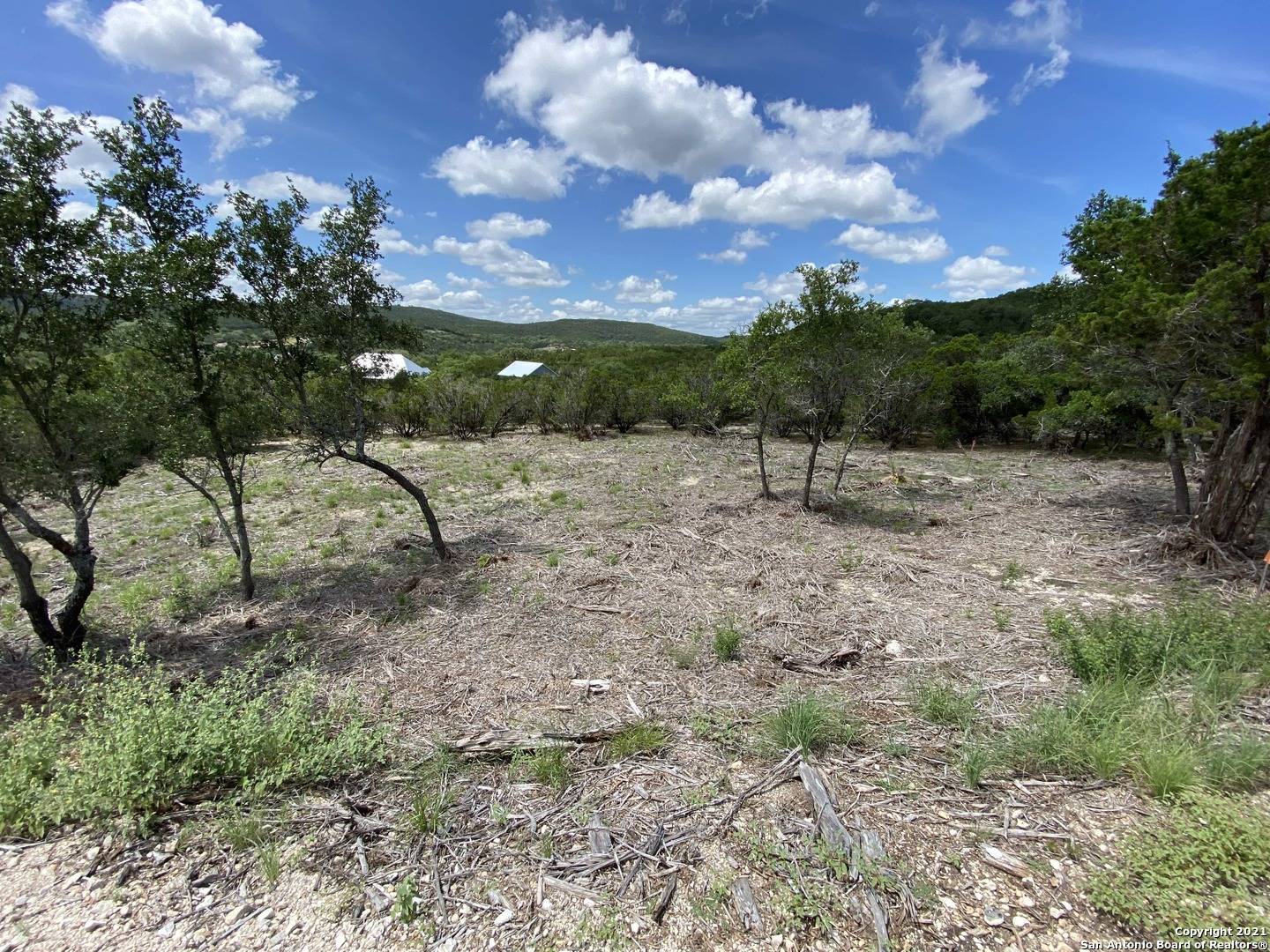 Mico, TX 78056,LOT 391 PR 1748