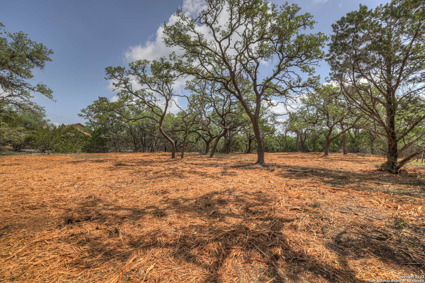 Fischer, TX 78623,1154 MADRONE RD