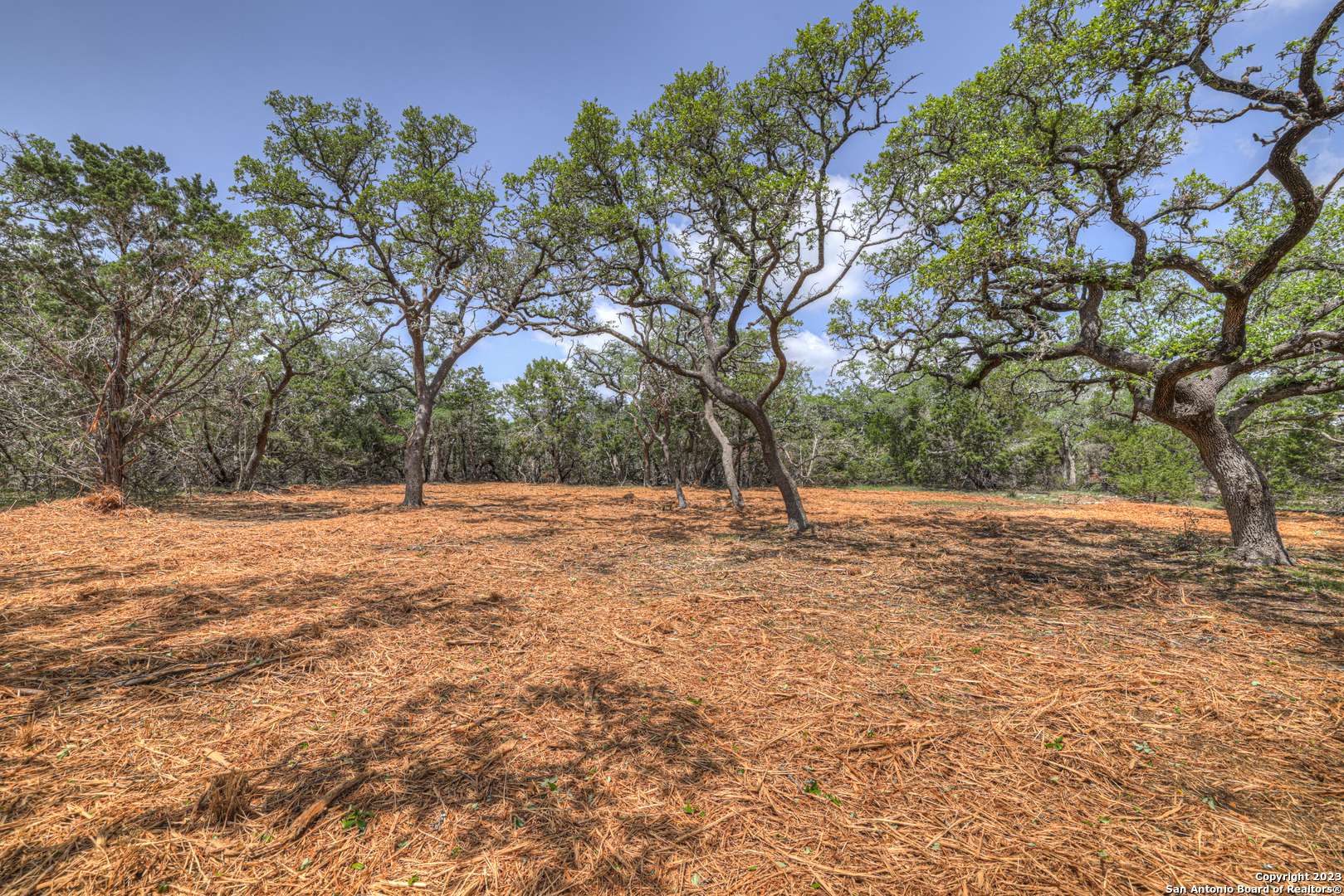 Fischer, TX 78623,1154 MADRONE RD