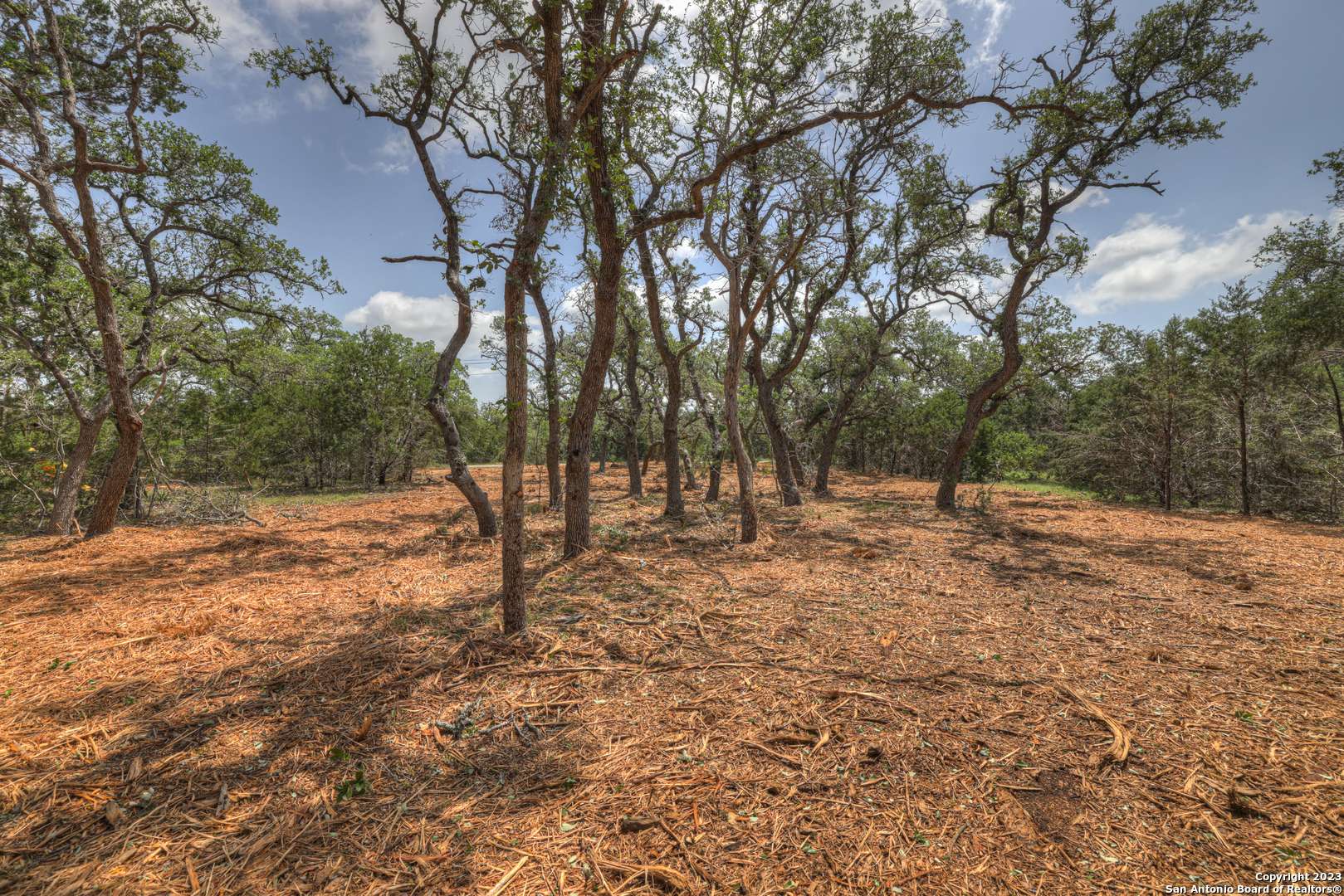 Fischer, TX 78623,1158 MADRONE RD