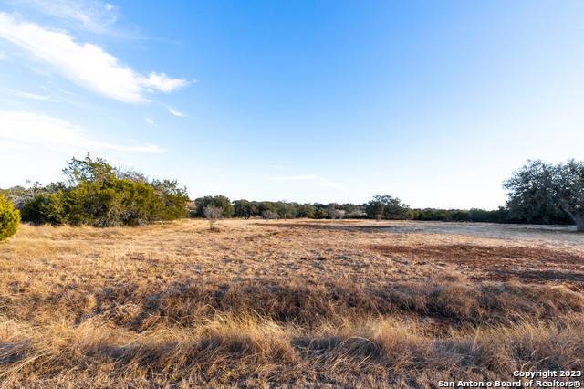 Bandera, TX 78003,LOT 65 BRIDLE RDG