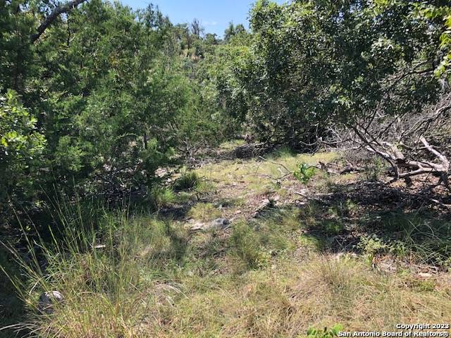 Fredericksburg, TX 78624,LOT 8 Longview Drive