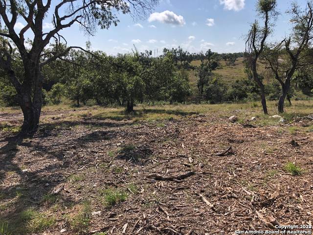 Fredericksburg, TX 78624,LOT 8 Longview Drive