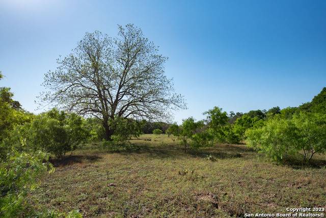 Kingsbury, TX 78638,TBD Munk Rd