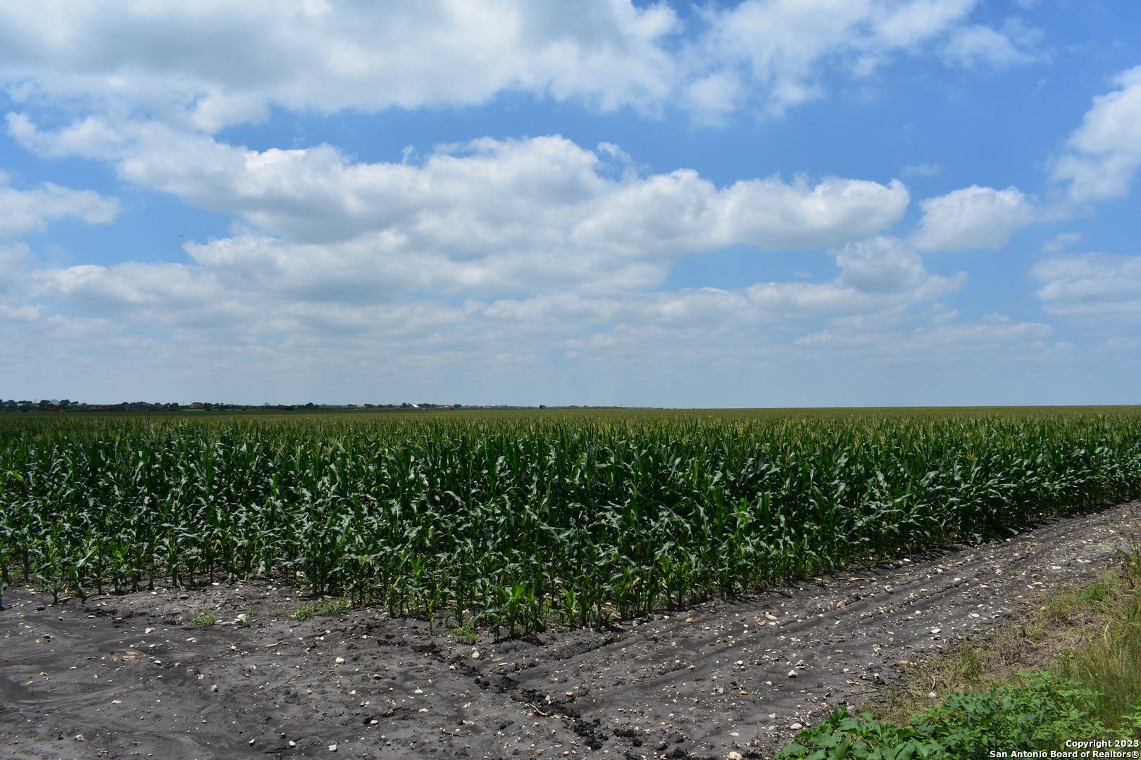 Lacoste, TX 78039,48.973 ACRES Co Rd 583