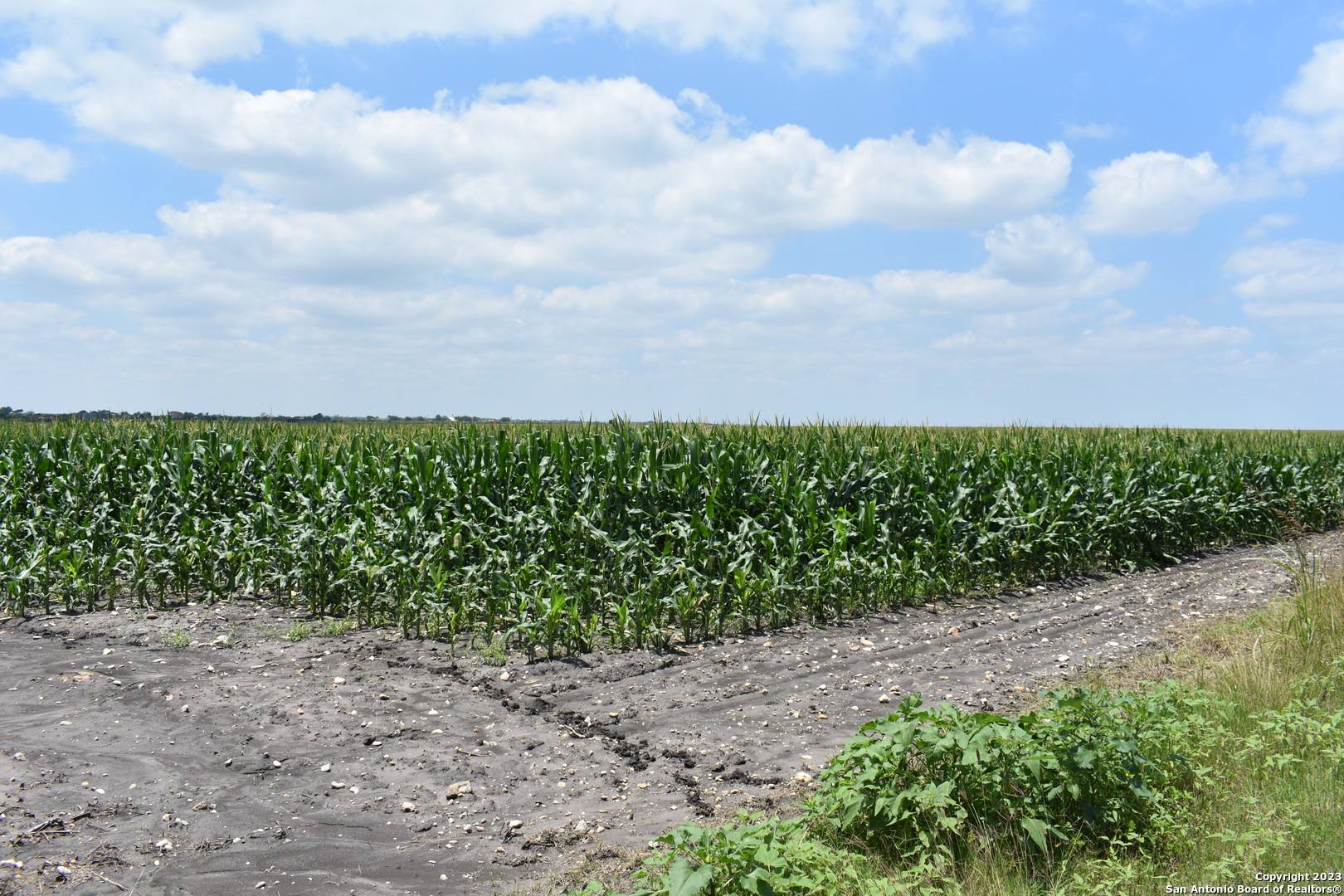 Lacoste, TX 78039,48.973 ACRES Co Rd 583