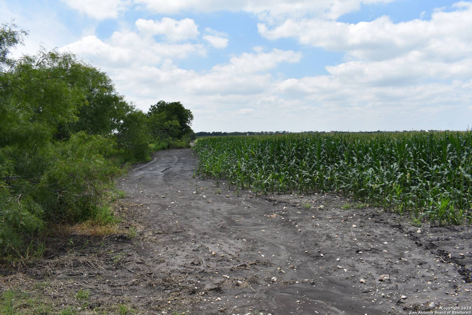 Lacoste, TX 78039,48.973 ACRES Co Rd 583