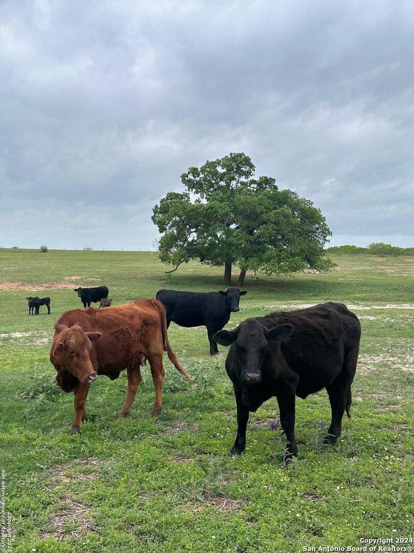 Poteet, TX 78065,TBD (TR 5) W Gates Valley Rd