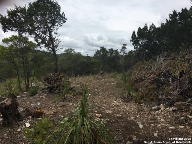 Mico, TX 78056,LOT 195 County Road 2801 E