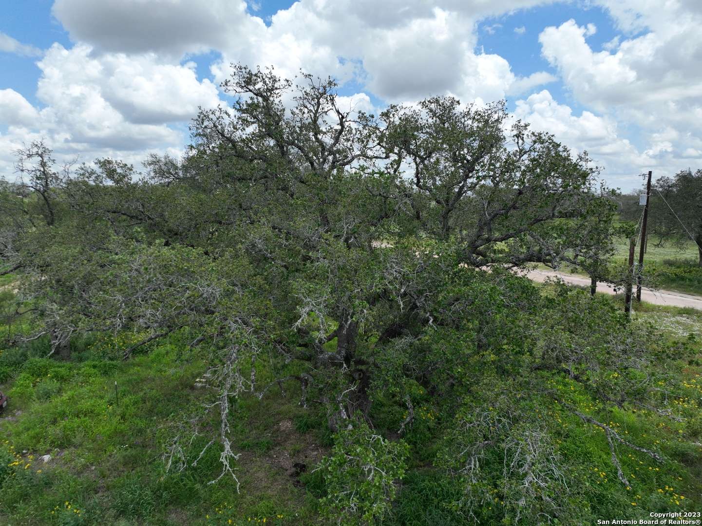 Bigfoot, TX 78065,4168 Whitley