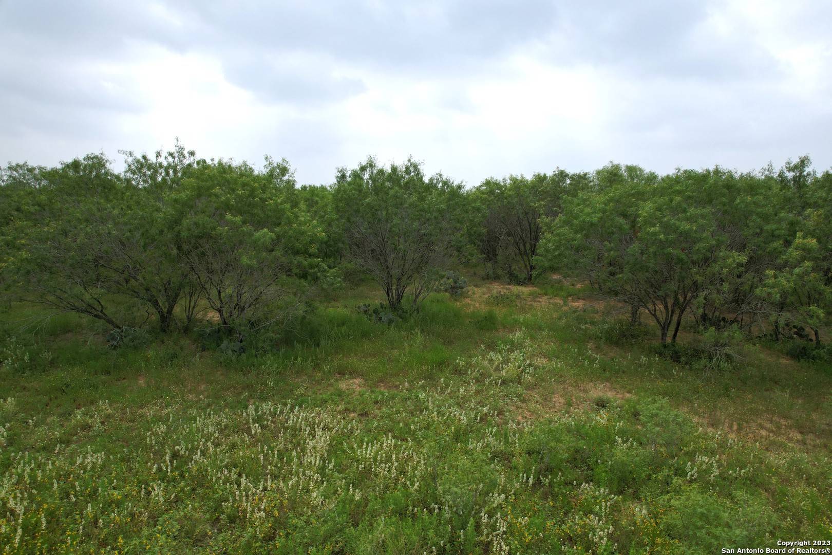 St Hedwig, TX 78152,FM 1346 Tract 4