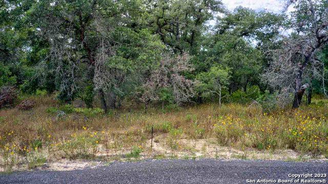 La Vernia, TX 78121,217 TIMBER PL