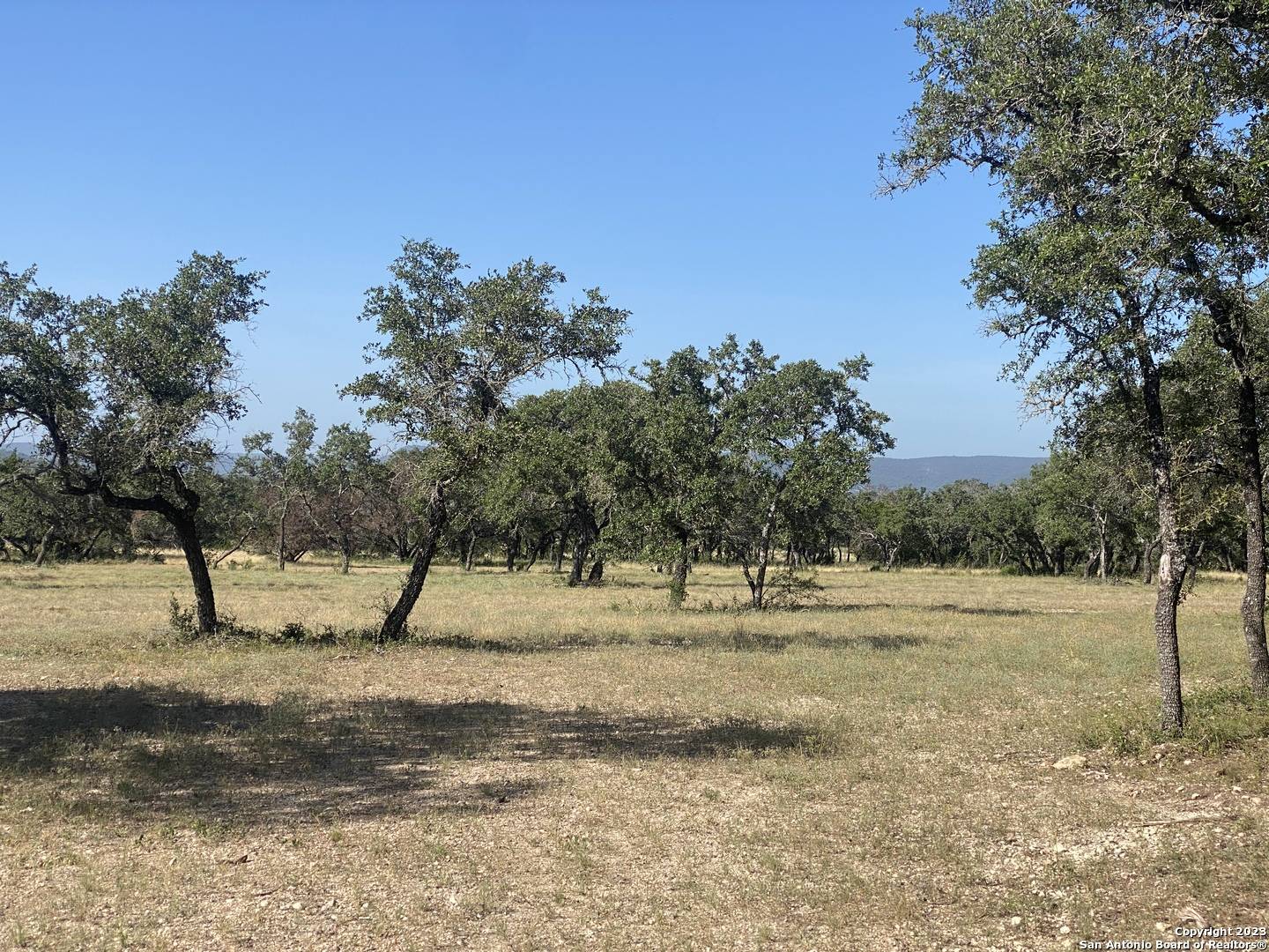 Rio Frio, TX 78879,445 Ridge Spur