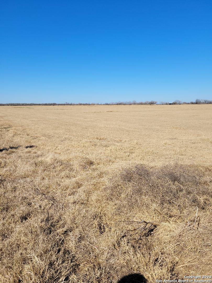 Natalia, TX 78059,00 LOT #8 FM 463