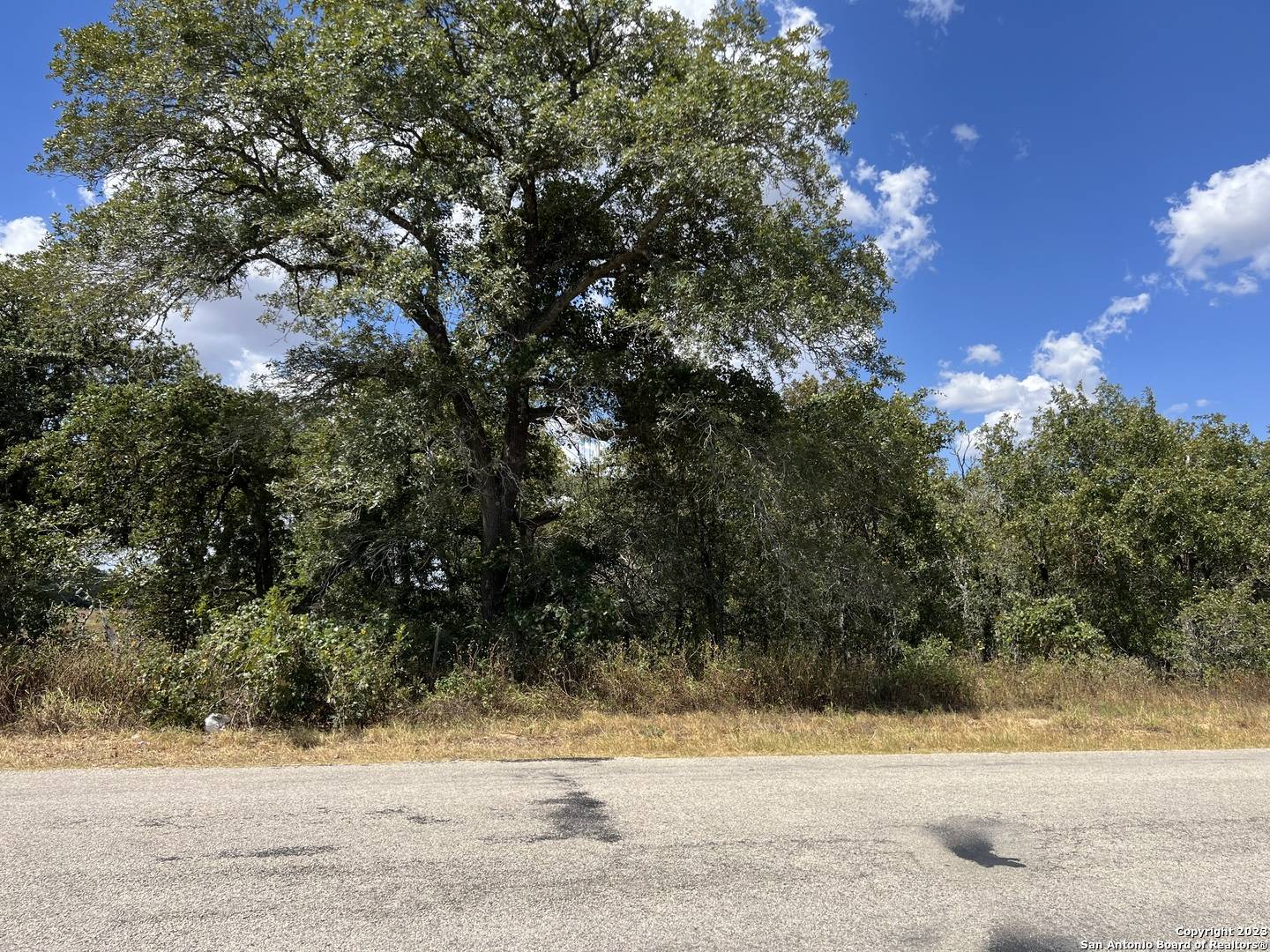 La Vernia, TX 78121,1196 CR 319