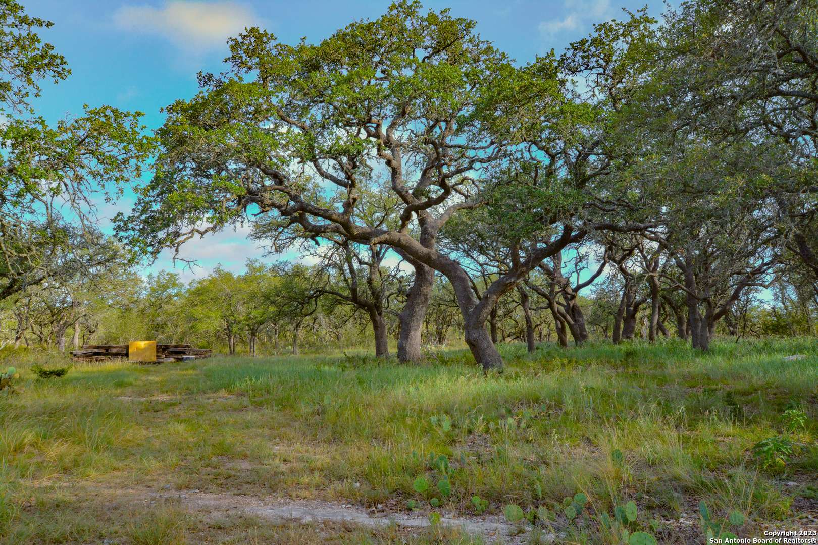 Harper, TX 78631,TBD Lower Reservation Rd