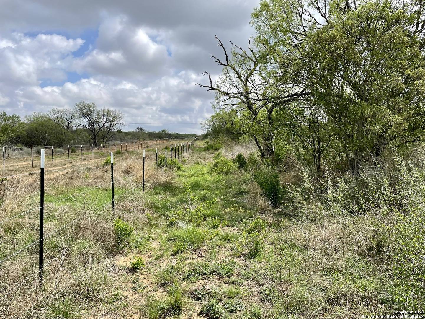 Moore, TX 78057,TRACT 2 CR 1670